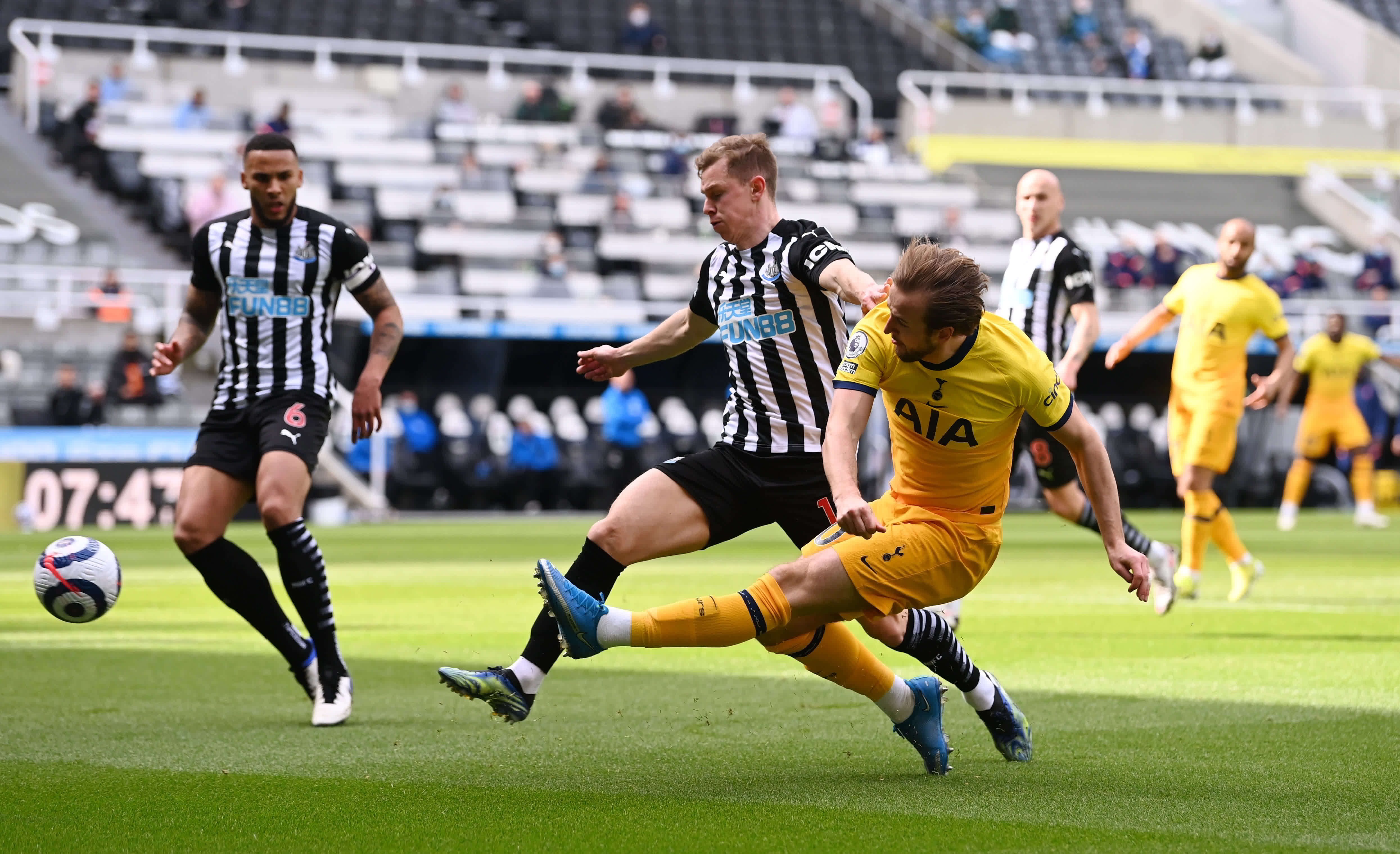 鲜明对比 鲜明对比